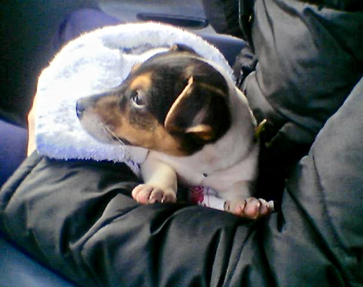 Foto04.jpg