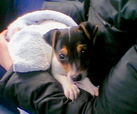 Foto05.jpg