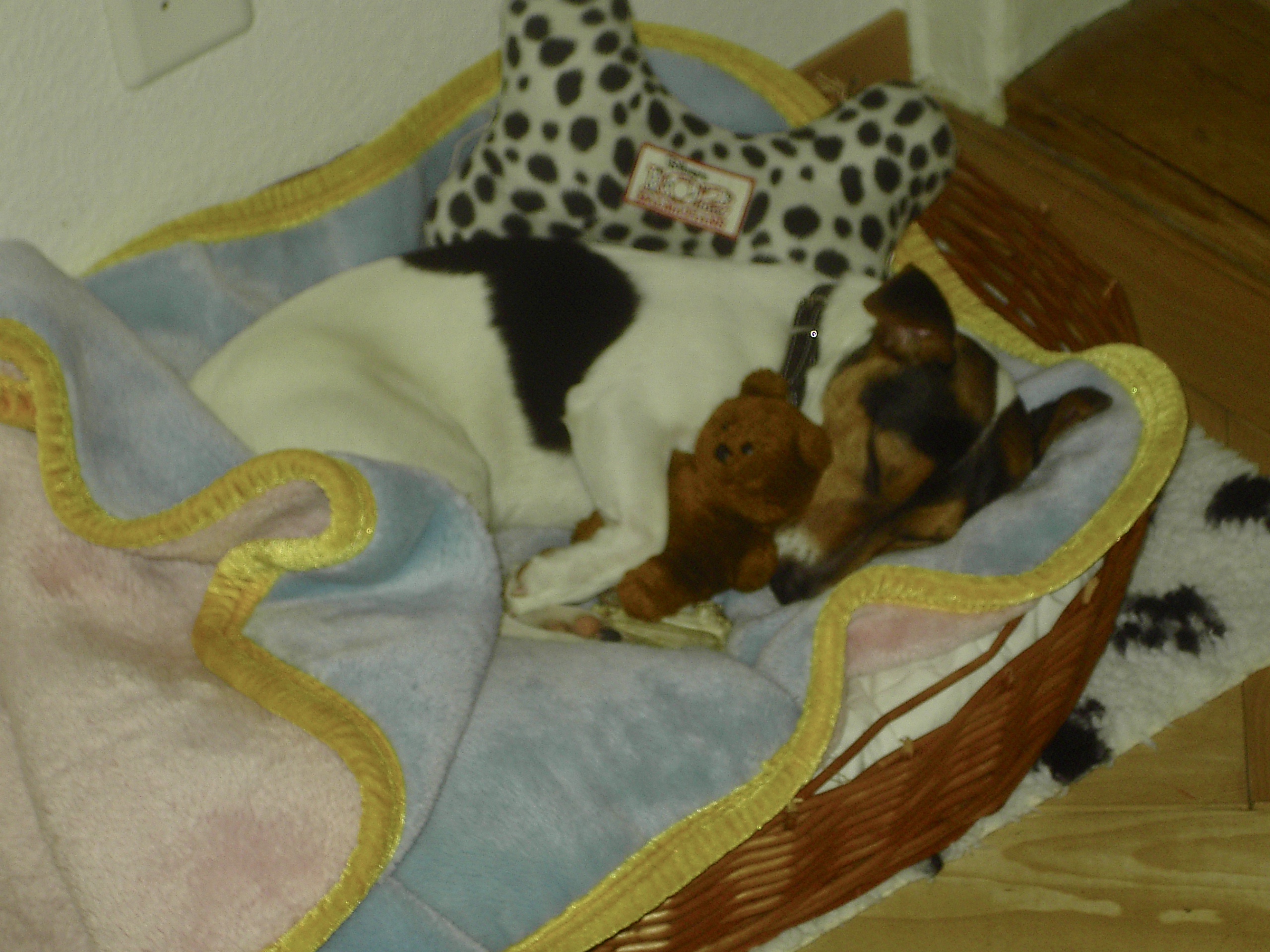 PICT0038.jpg