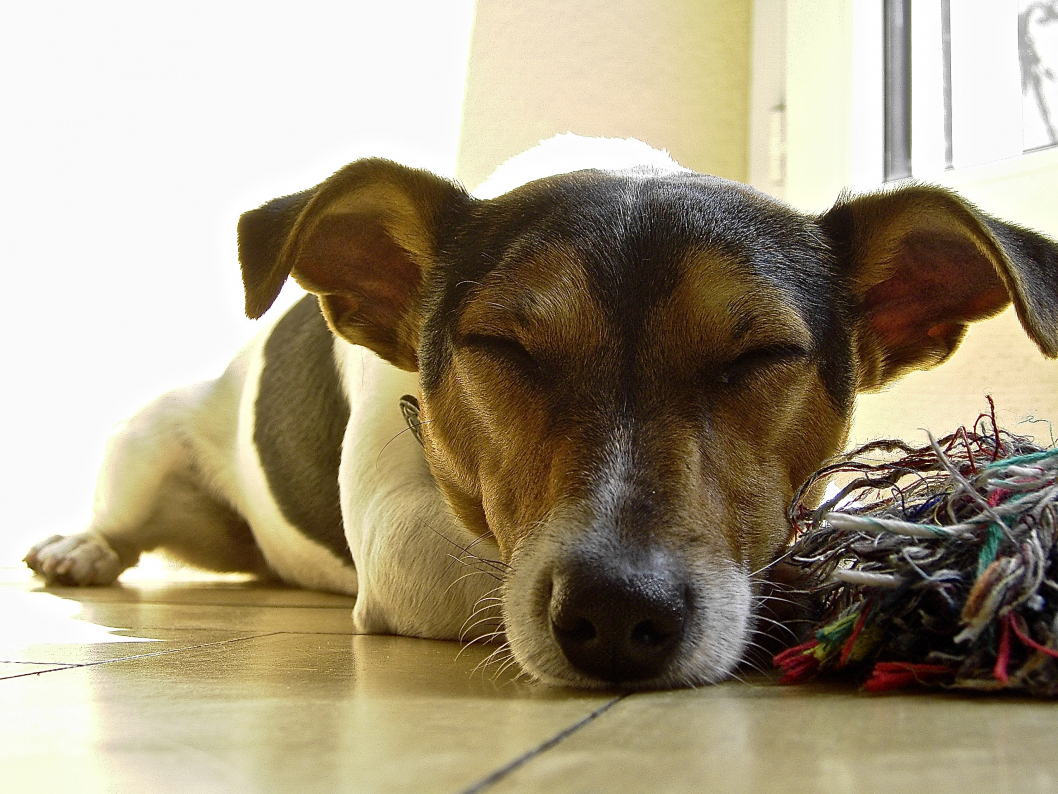 PICT0248.jpg